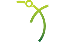 Nexus Web Design Logo